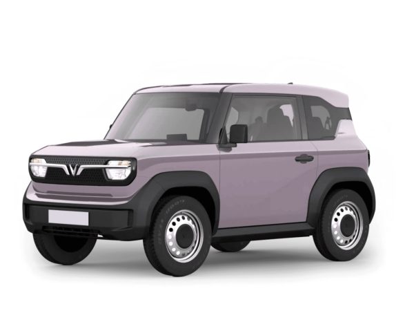 Vinfast VF 3 Thuê Pin